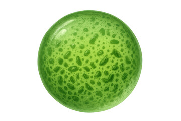 Green spherical object featuring organic, cellular-like texture, floating against transparent backdrop, suitable for scientific visualization