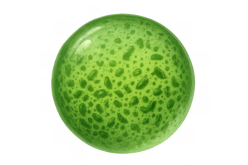 Green spherical object featuring organic, cellular-like texture, floating against transparent backdrop, suitable for scientific visualization