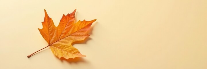 Obraz premium Single dried leaf, beige backdrop Minimal autumn , simple, yellow, leaf
