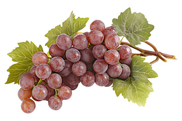 Red Grapes With Green Leaves Attached To The Stem, Isolated On a Clean White Background