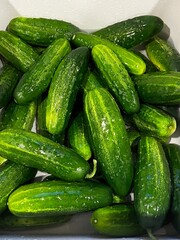 cucumbers 