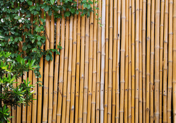 The bamboo wall is mixed with green leaves.