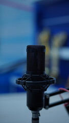 Professional Condenser Microphone for Recording and Broadcasting