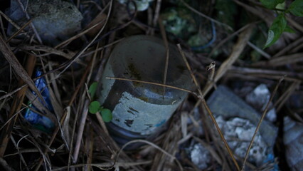 Forgotten Glass Bottle Amidst Nature's Debris A Glimpse into Environmental Neglect