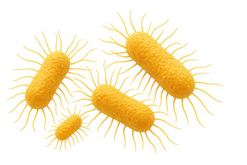 Microscopic view showcasing rotating escherichia coli bacteria against a transparent background, highlighting their movement and structure
