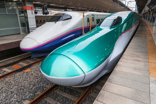 Series E5 and series E2 shinkansen 'bullet trains' waiting to depart at Tokyo station