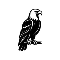 Bald eagle bird of prey icon with transparent background
