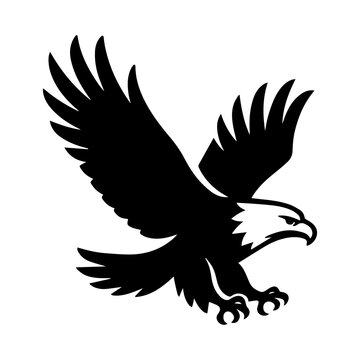 Bald eagle bird of prey icon with transparent background
