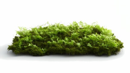 digital technology green bubble seaweed poster background