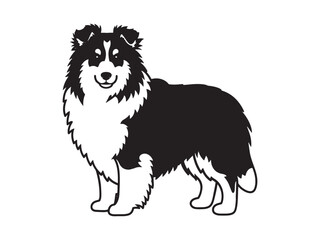 Obraz premium Shetland sheepdog black silhouette vector with white background