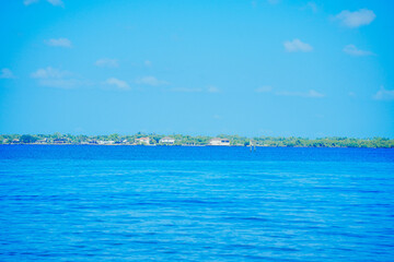 Obraz premium Fort Myers, Fort Myers, Florida 05 24 2025: The landscape of Fort Myers Edison and Ford Winter Estate and Caloosahatchee River landscape and Delonix Regia