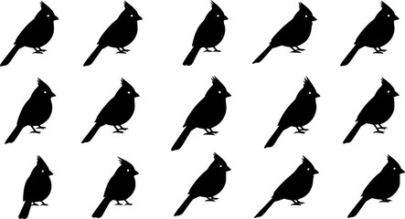 Obraz premium cardinal bird silhouette, black and white silhouette, vector and illustration 