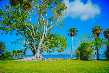 Fort Myers, Fort Myers, Florida 05 24 2025: The landscape of Fort Myers Edison and Ford Winter...