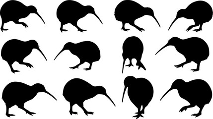 Set of kiwi bird silhouette, black and white silhouette, vector and illustration
