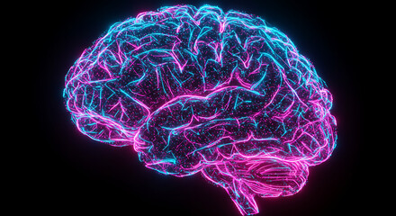 Abstract Neon Brain Digital Neural Network Pink Blue Glowing Lines Human Brain Structure