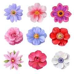 Nine Vibrant Flower Blooms Pink, Red, Purple, White, Blue