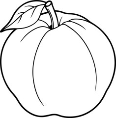 Citrus fruit outline vector and illustration, coloring book page