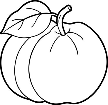 recommend clip art: Citrus fruit outline vector and illustration, coloring book page