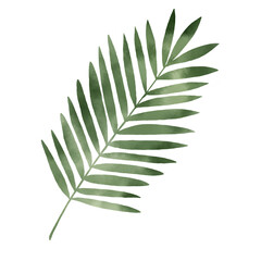 水彩風パームリーフのシンプルイラスト