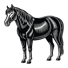 Silhouette of a standing horse in side view, showcasing its strong legs, arched neck, and flowing tail in a graceful and powerful pose.
