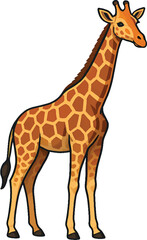 Obraz premium Giraffe