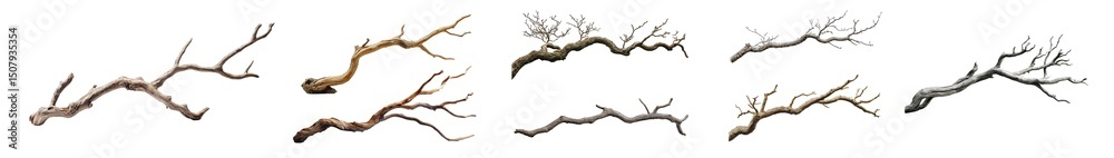 Poster set of abstract design of interwoven tree branches isolated on transparent background