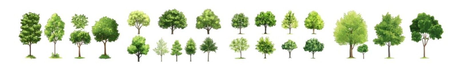 Collection of various tree illustrations isolated on transparent background