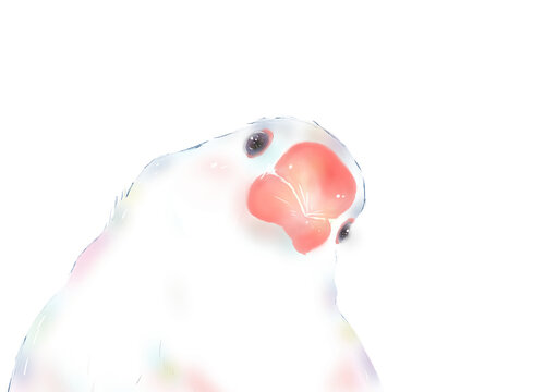 ぶんちょう」の写真素材 | 4,706件の無料イラスト画像 | Adobe Stock