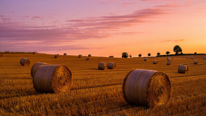Rolling hills are dotted with round hay bales, capturing the warm golden light of sunset. A vibrant sky enhances the serene rural scene, evoking peace and tranquility