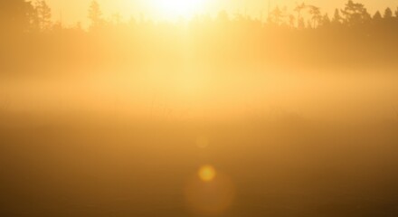 霧のかかった森に差し込む黄金色の朝日とレンズフレア