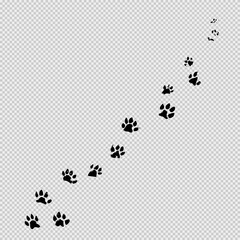 Naklejka premium Minimalist Black and White Illustration of Bear Footprints with Bold Outlines, Visible Claws, and Natural Walking Pattern, Set on a White Background with Subtle Pastel Shading for a Wild and Elegant