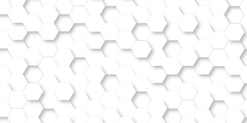 Abstract minimal Background with white lines Hexagonal structure futuristic white background and Embossed Hexagon , honeycomb white mosaic cell web ,light and shadow texture design.	
