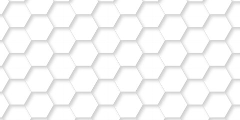 Naklejka premium Abstract minimal Background with white lines Hexagonal structure futuristic white background and Embossed Hexagon , honeycomb white mosaic cell web ,light and shadow texture design. 