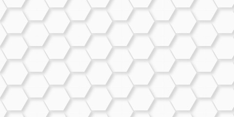 Abstract minimal Background with white lines Hexagonal structure futuristic white background and Embossed Hexagon , honeycomb white mosaic cell web ,light and shadow texture design.