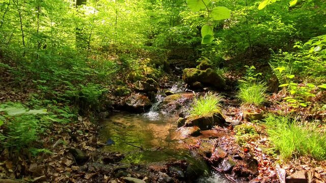 Erfrischender Wildbach im gr&uuml;nen Laubwald &ndash; pure Naturkraft und lebendige Idylle f&uuml;r authentische Outdoor-Designs und stimmungsvolle Landschaftsaufnahmen