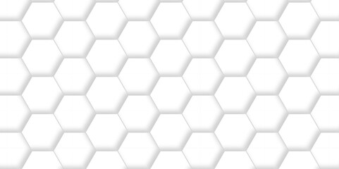 Fototapeta premium Abstract minimal Background with white lines Hexagonal structure futuristic white background and Embossed Hexagon , honeycomb white mosaic cell web ,light and shadow texture design.