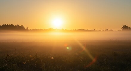 Naklejka premium 霧のかかった野原に昇る朝日と黄金色の光