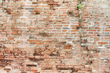 Naklejka premium Texture of the brick walls 