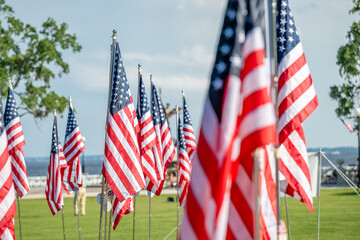 American Flags on Memorial Day