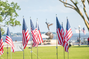 American Flags on Memorial Day