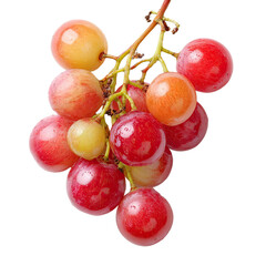 A Luscious Bunch of Crimson and Gold Grapes Ready for Harvest