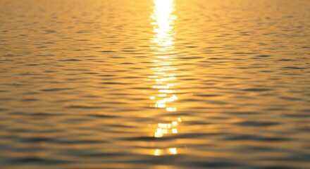 水面の反射、太陽光が輝く穏やかな海面