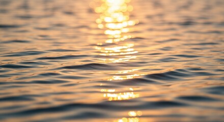 水面に反射する太陽光のきらめきクローズアップ