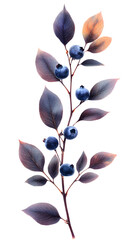 High-resolution image of blueberry leaves isolated on white, captured in a minimal flat lay or
