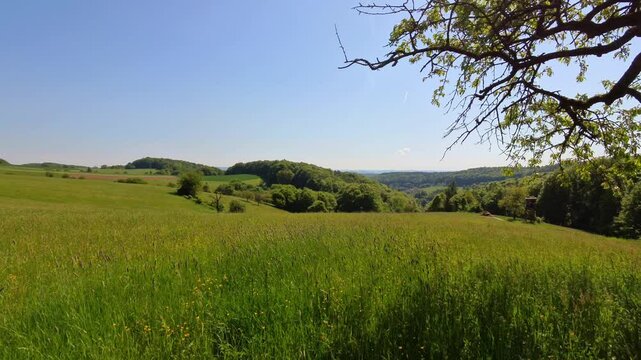 Bunte im leichten Wind wiegende Wildblumenwiese unter blauem Himmel im h&uuml;geligen Spessart &ndash; nat&uuml;rliche Farbenpracht und sommerliche Landschaftsaufnahme, Weitblick, Horizont, Umwelt, Gr&auml;ser, Natur