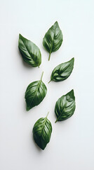 High-resolution image of top view of basil leaves isolated on white