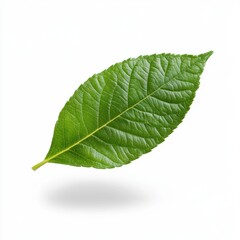 A vibrant green leaf with textured veins, symbolizing freshness and nature's beauty.