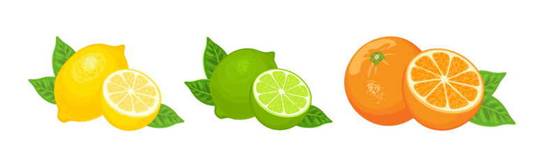 Citrus fruits set. Lemon, lime and orange whole and half with green leaves. Vector cartoon illustration.