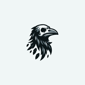 Skull crow logo