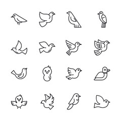 Graphic 16 outlined bird icons arranged in 4 rows and 4 columns